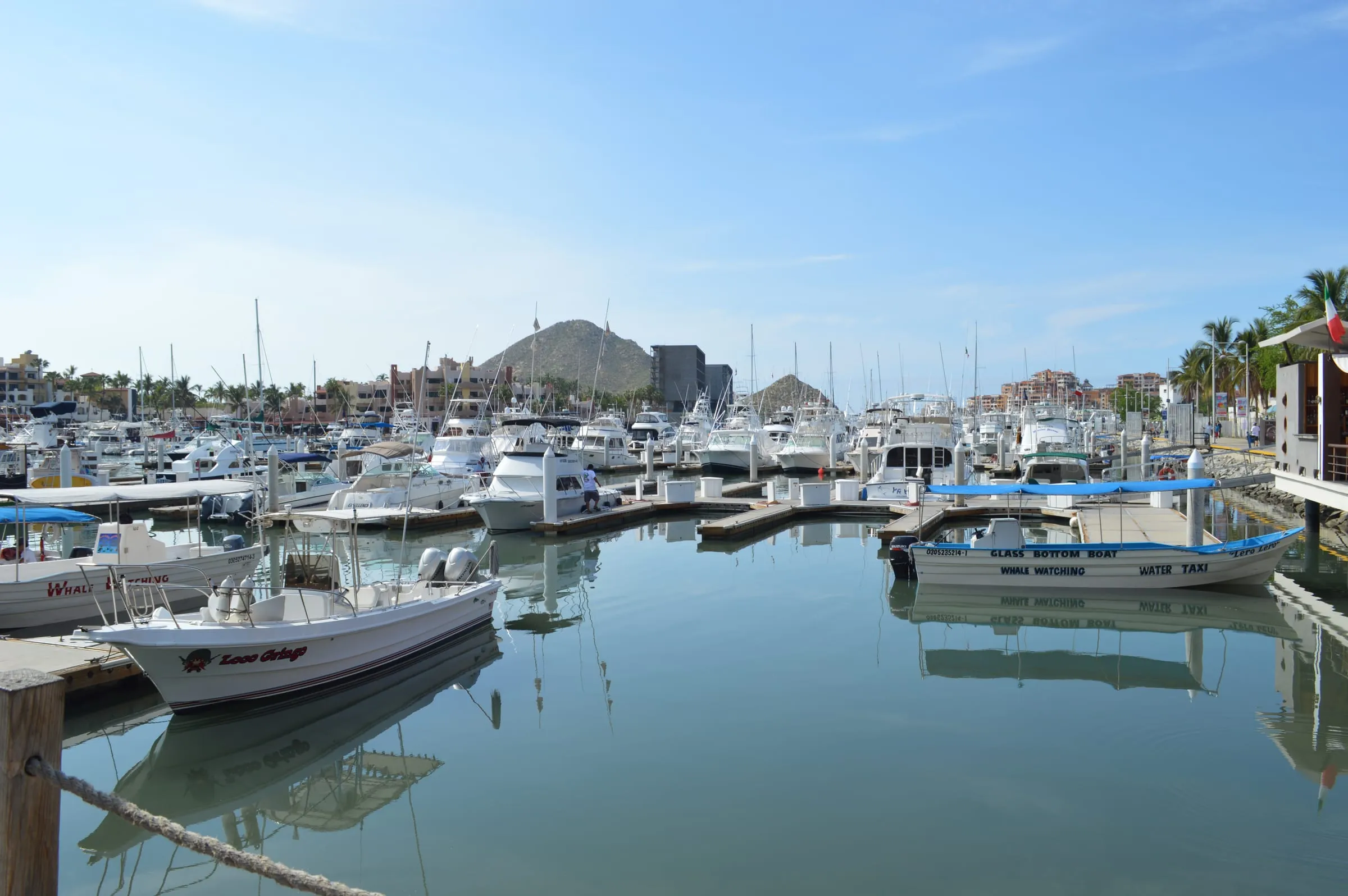 Sportfishing boats and pangas moored in the marina at Cabo San Lucas